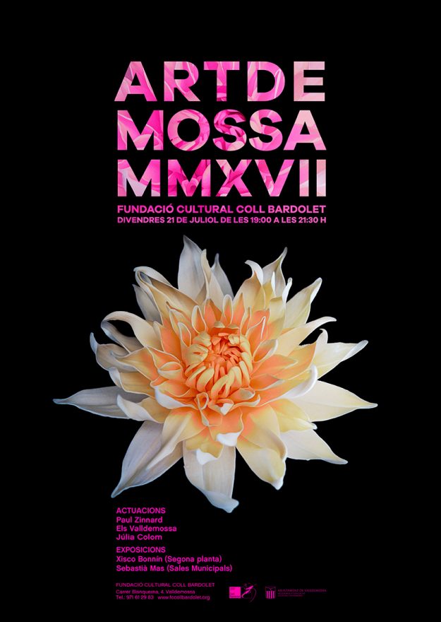 FCCB_Artdemossa2017_mail